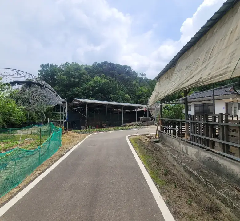 세종 연기면 눌왈리 계획관리