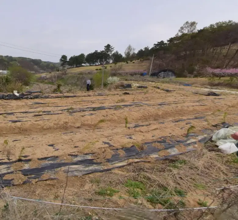 장군면 대교리 계획관리