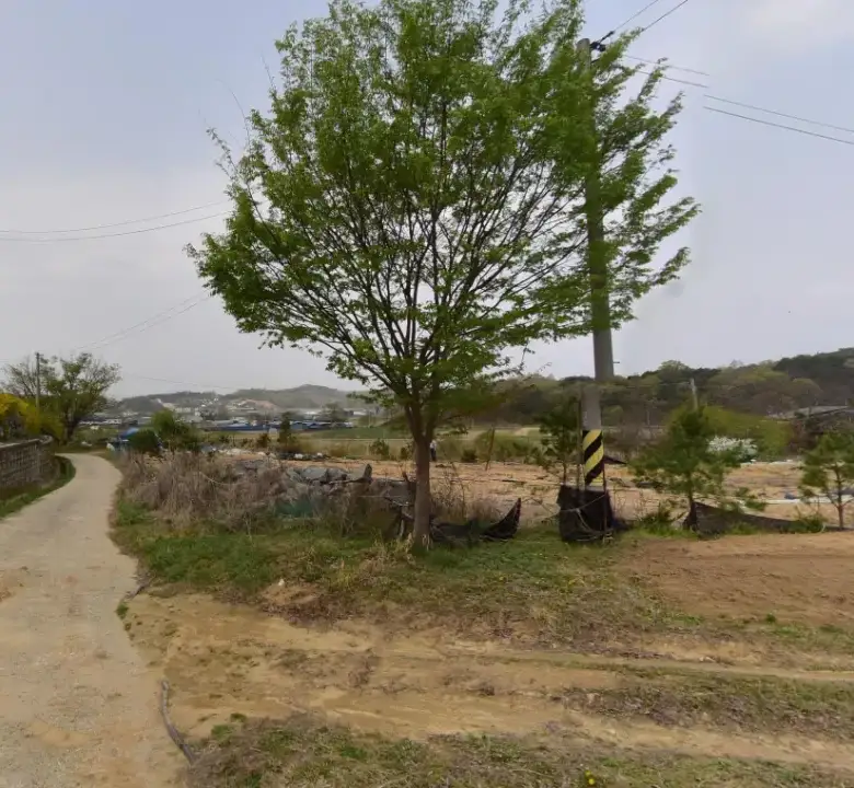 장군면 대교리 계획관리