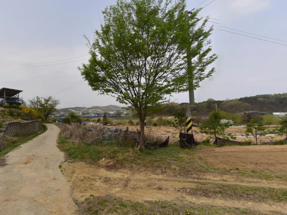 장군면 대교리 계획관리