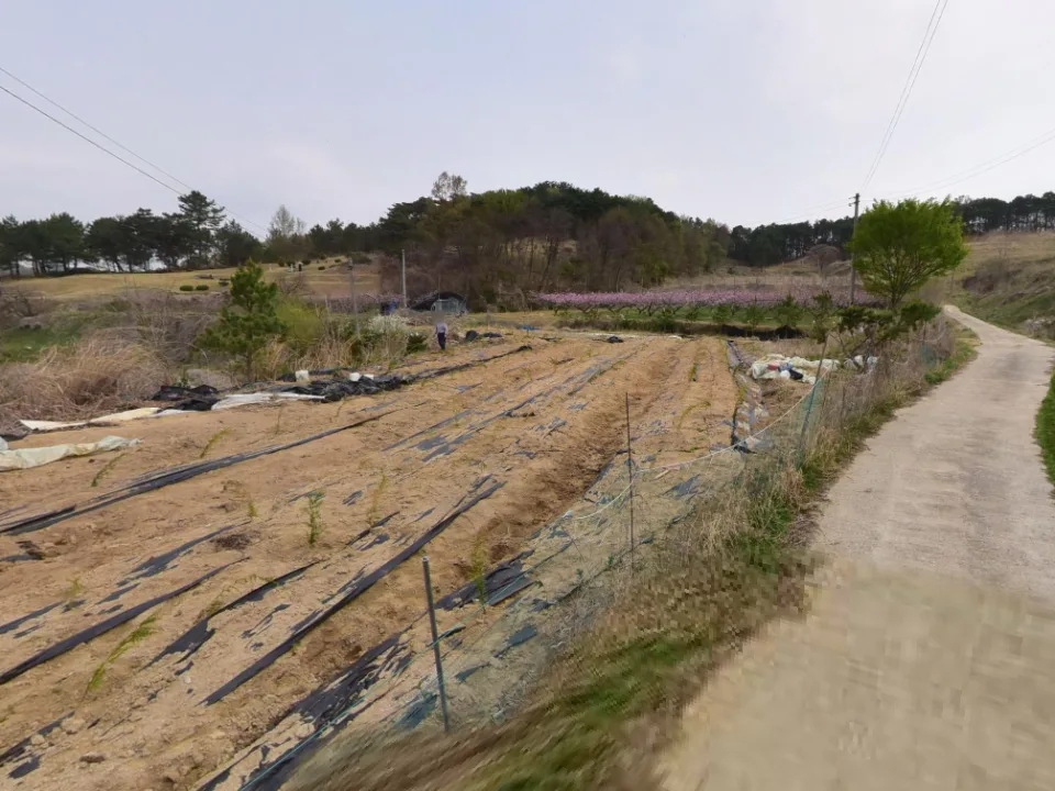 대교리 507-6_3 장군면 대교리 계획관리