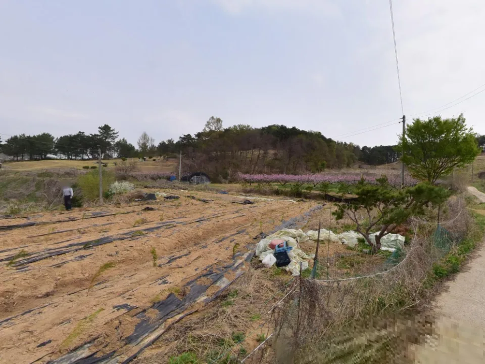 장군면 대교리 계획관리