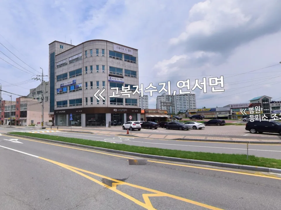 조치원 죽림리 상가 5층 건물