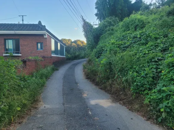 세종 연서면 국촌리 계획관리