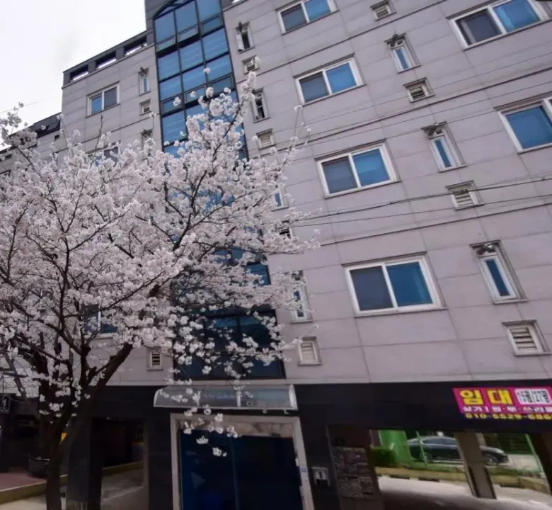 세종 조치원 침산리 원룸 임대